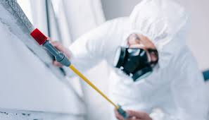 Professional Pest Control in Union City, PA